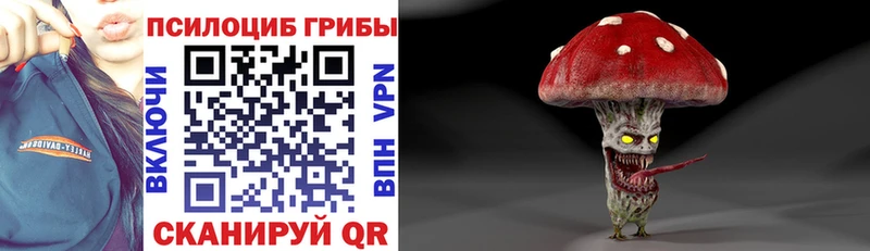 Купить  Великий Новгород  Псилоцибиновые грибы MAGIC MUSHROOMS 